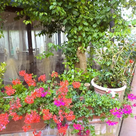 Motorrad-Hotel Toskana - Bei Giorgio Den Besten Preis 3* Montespertoli